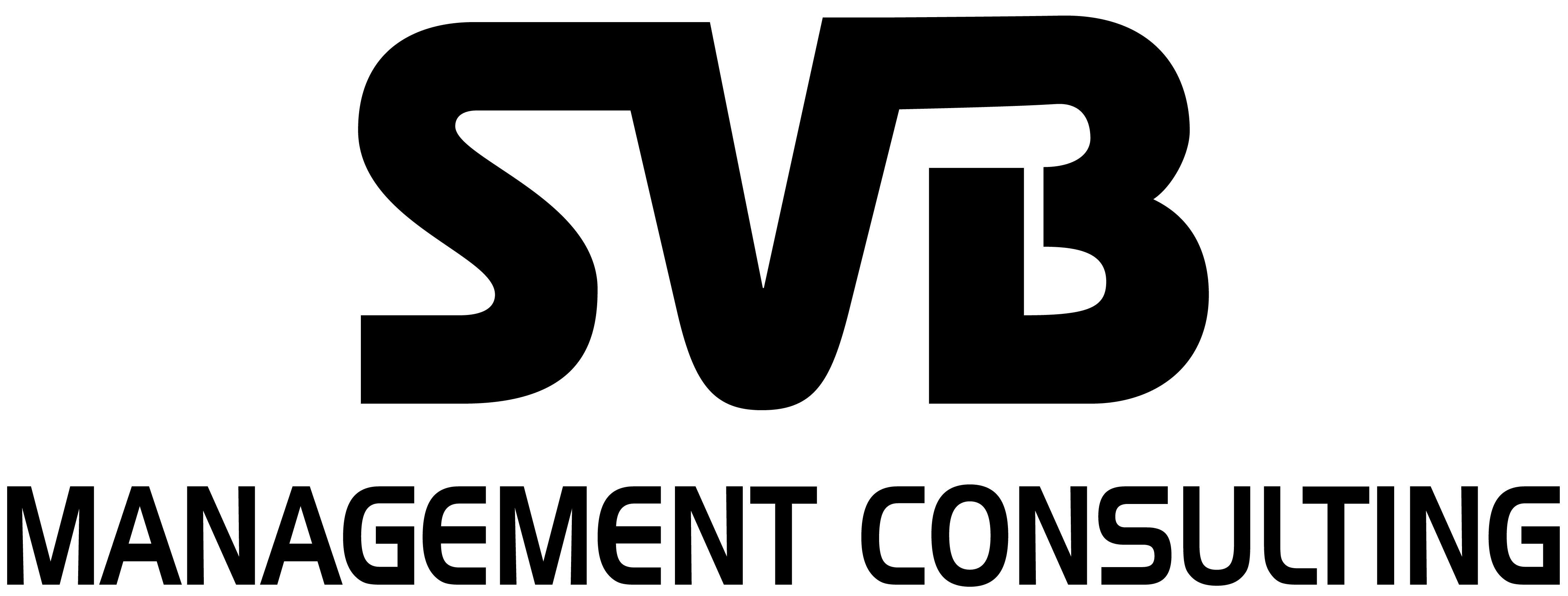 SVB Management Consulting